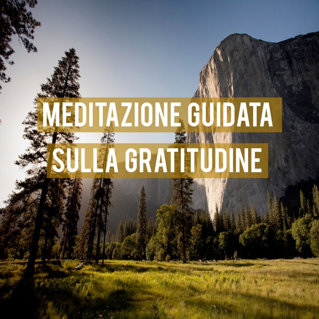 gratitudine